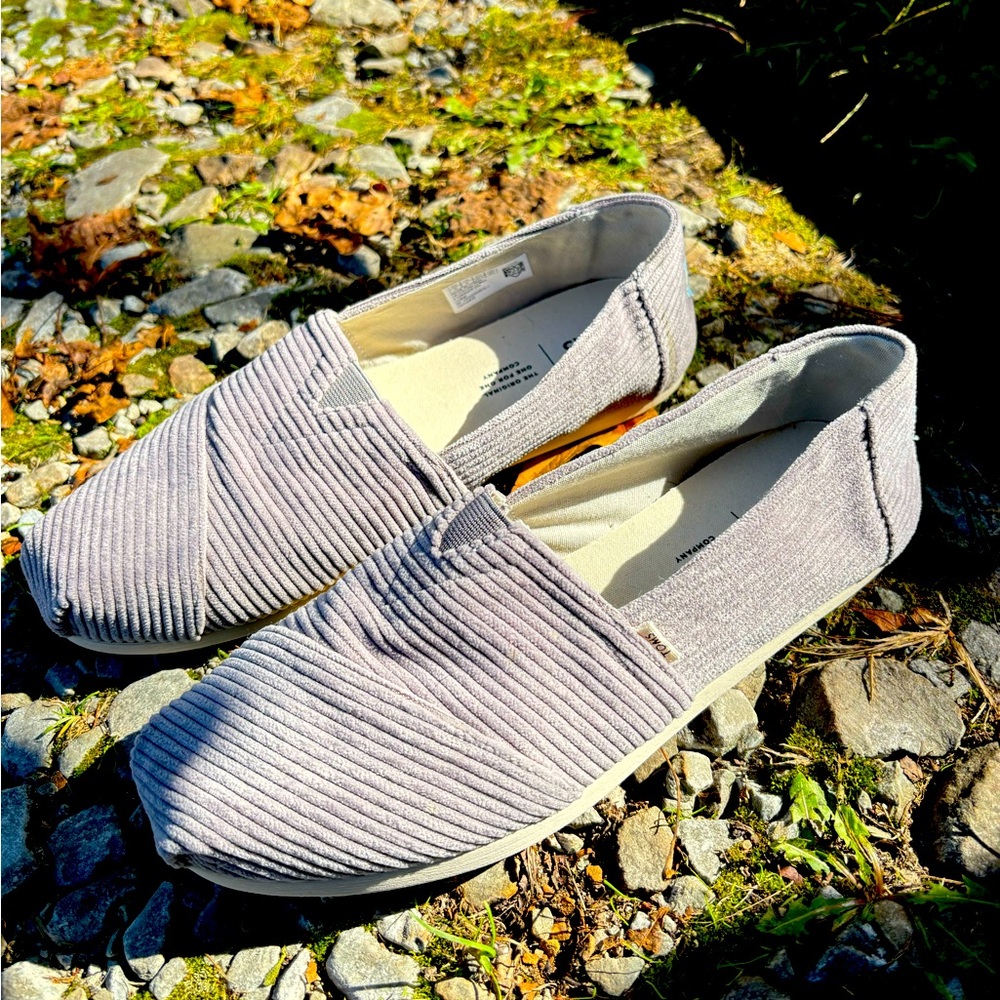 TOMS